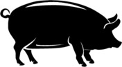 Pork